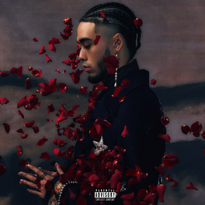 改造娇妻晓雯最新章节更新小说
